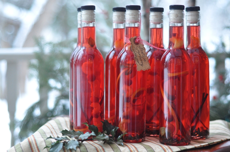 Festive Cranberry Vinegar | Putting Up With The Turnbulls